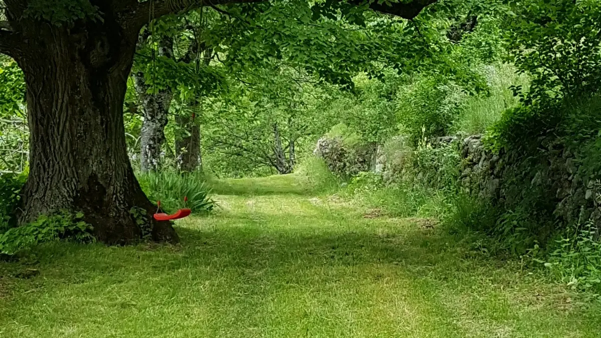 L'allée des tilleuls, votre jardin