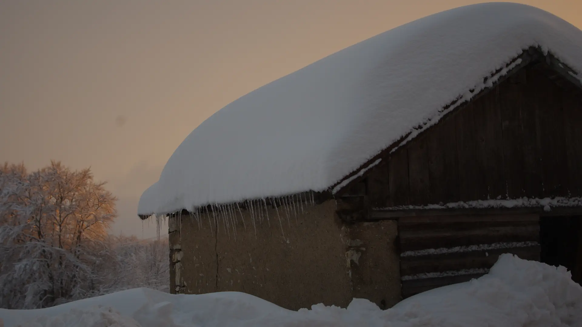 La Ferme des Taillis