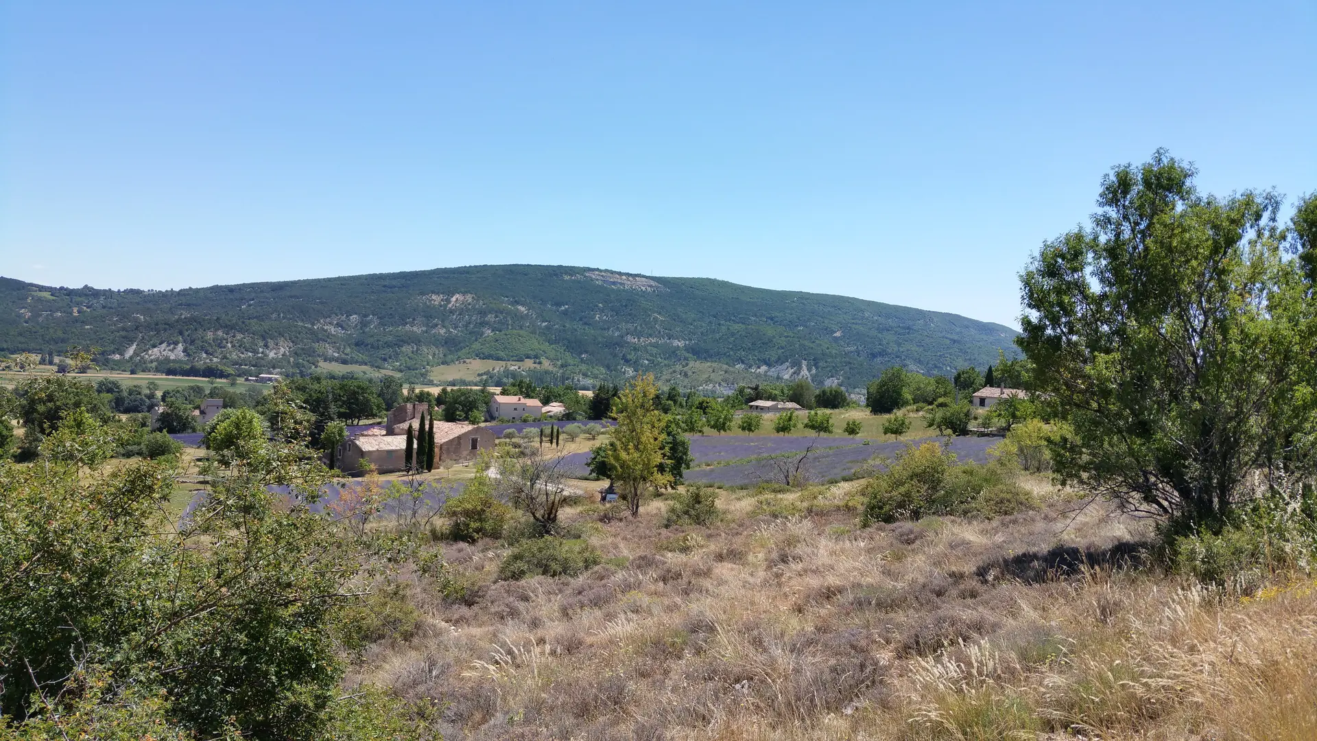 Vallée de Saint-Etienne les Orgues