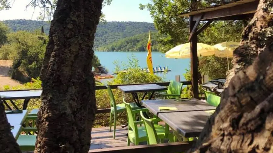 La Terrasse sous les arbres