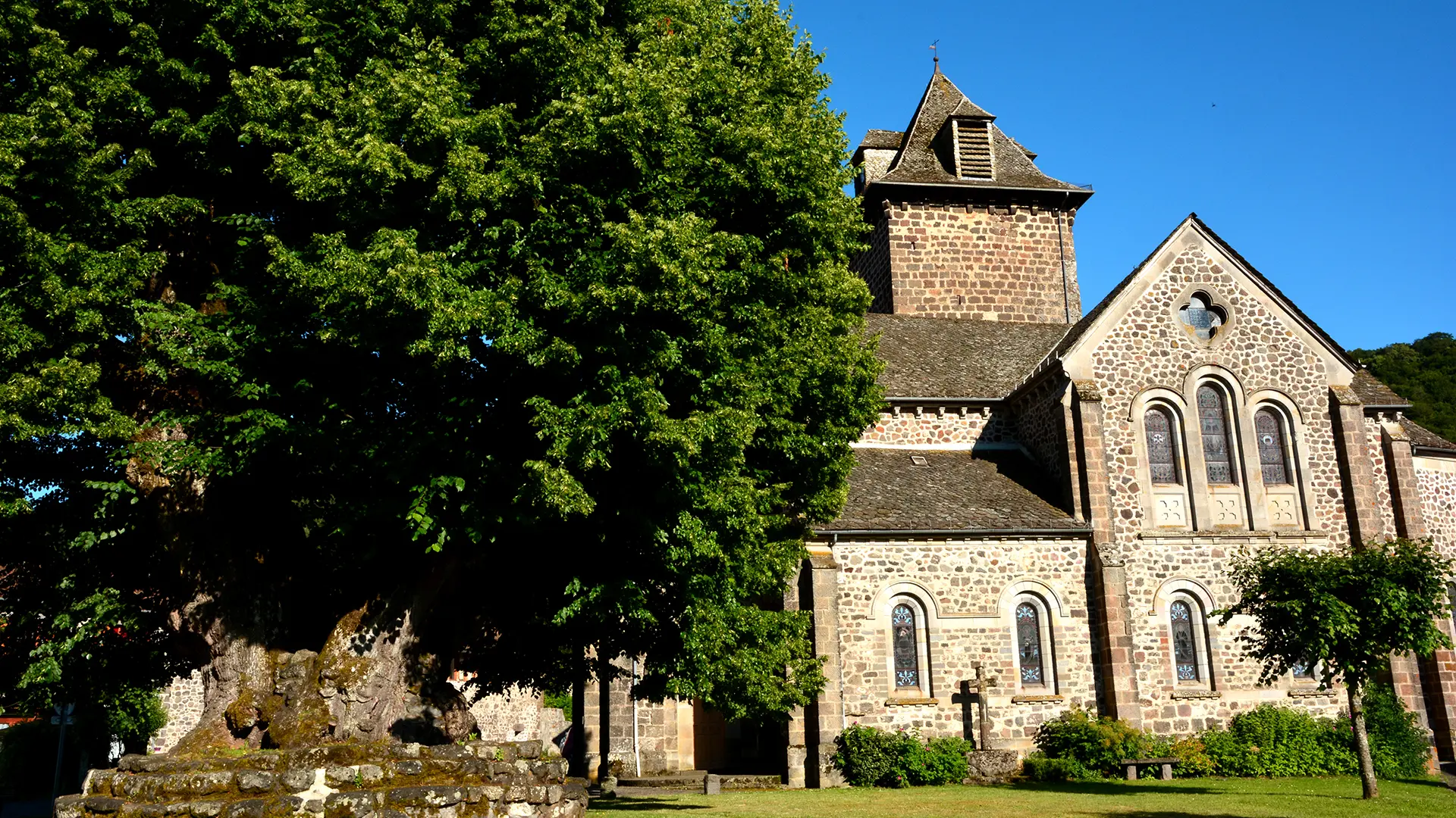 Tilleul Sully et l'église de St Simon