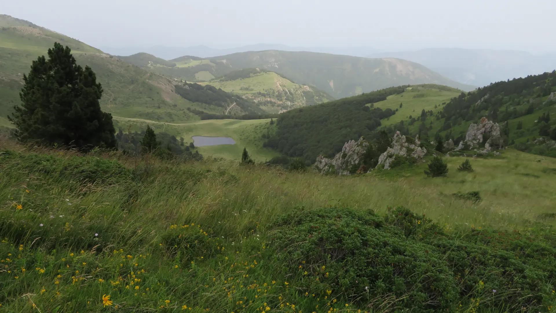 Vue sur petit point d'eau