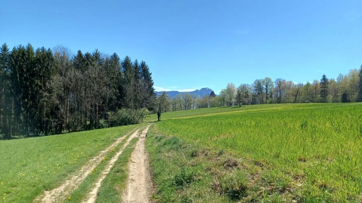 Balade dans les hauteurs de Groisy