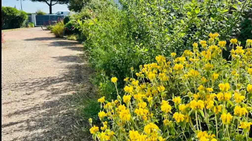 Private driveway with parking