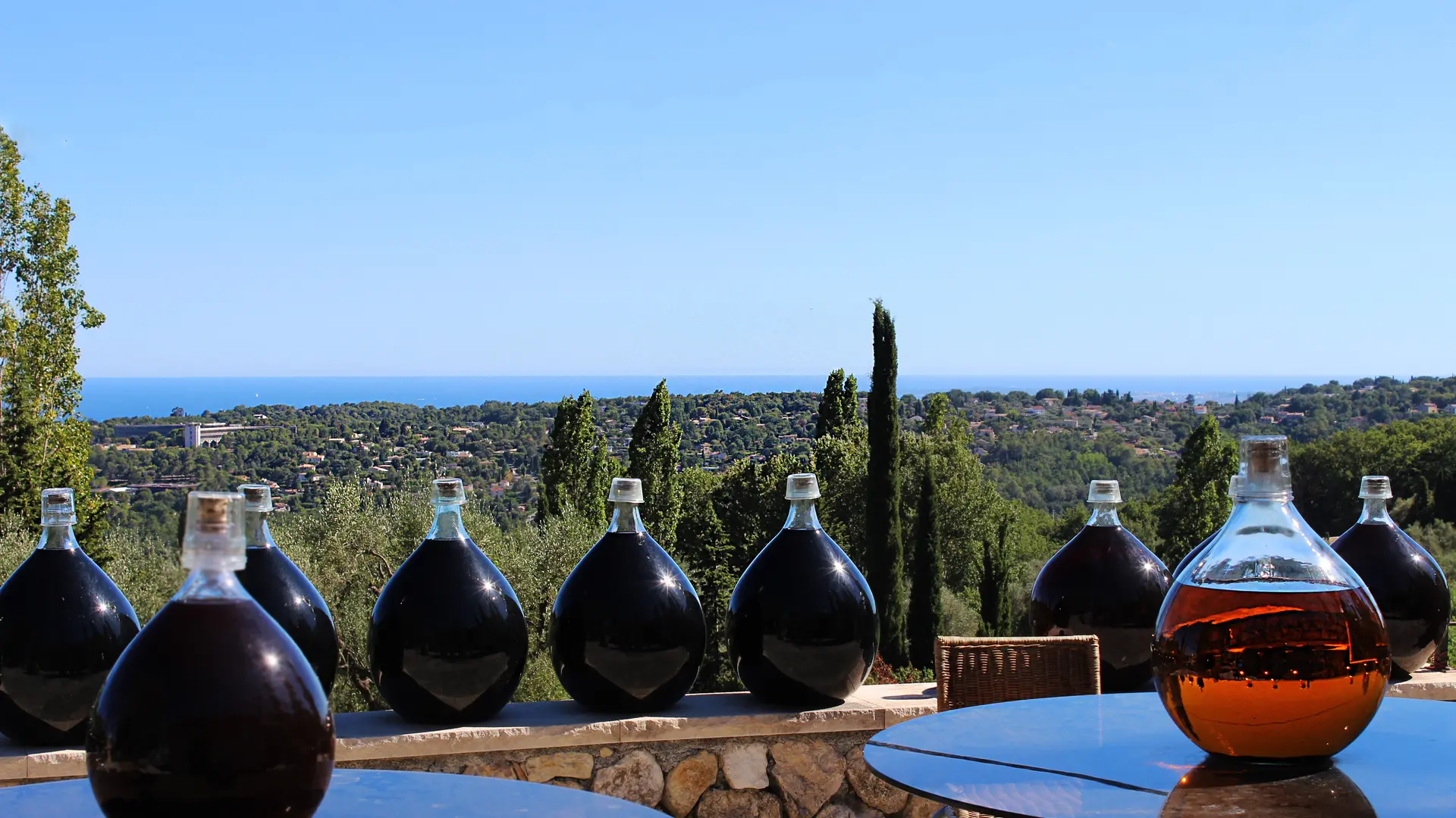 Venez déguster nos vins en regardant les vignes et la mer au loin.