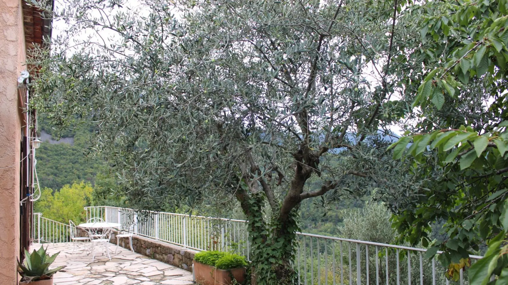 Gîte Le Belvédère-Terrasse-Belvédère-Gîtes de France des Alpes-Maritimes