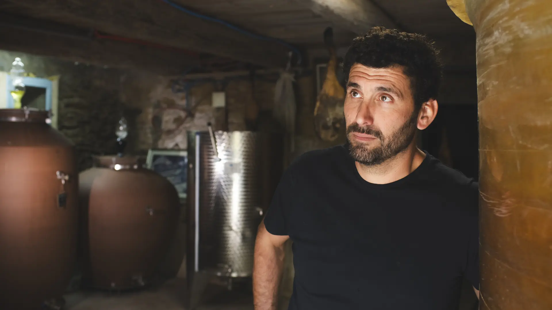 Pierre Domaine de Capelude