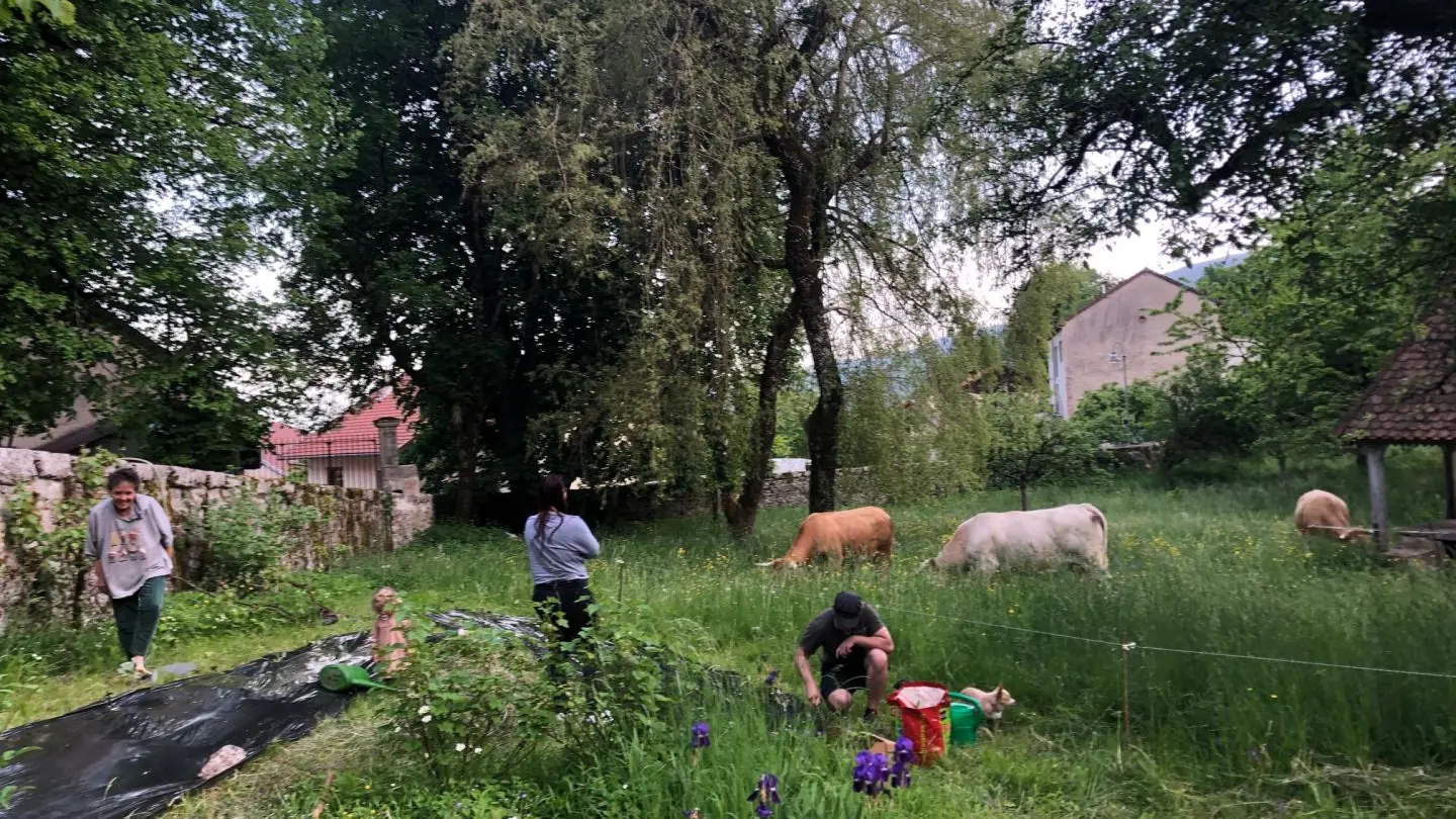 Jardin participatif ouvert aux hôtes. Venez préparer les semences et planter les plantons.