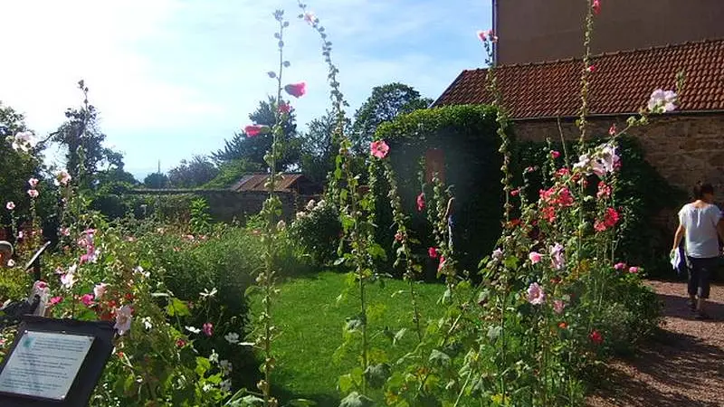 Jardin du Moyen Age © mmorelli