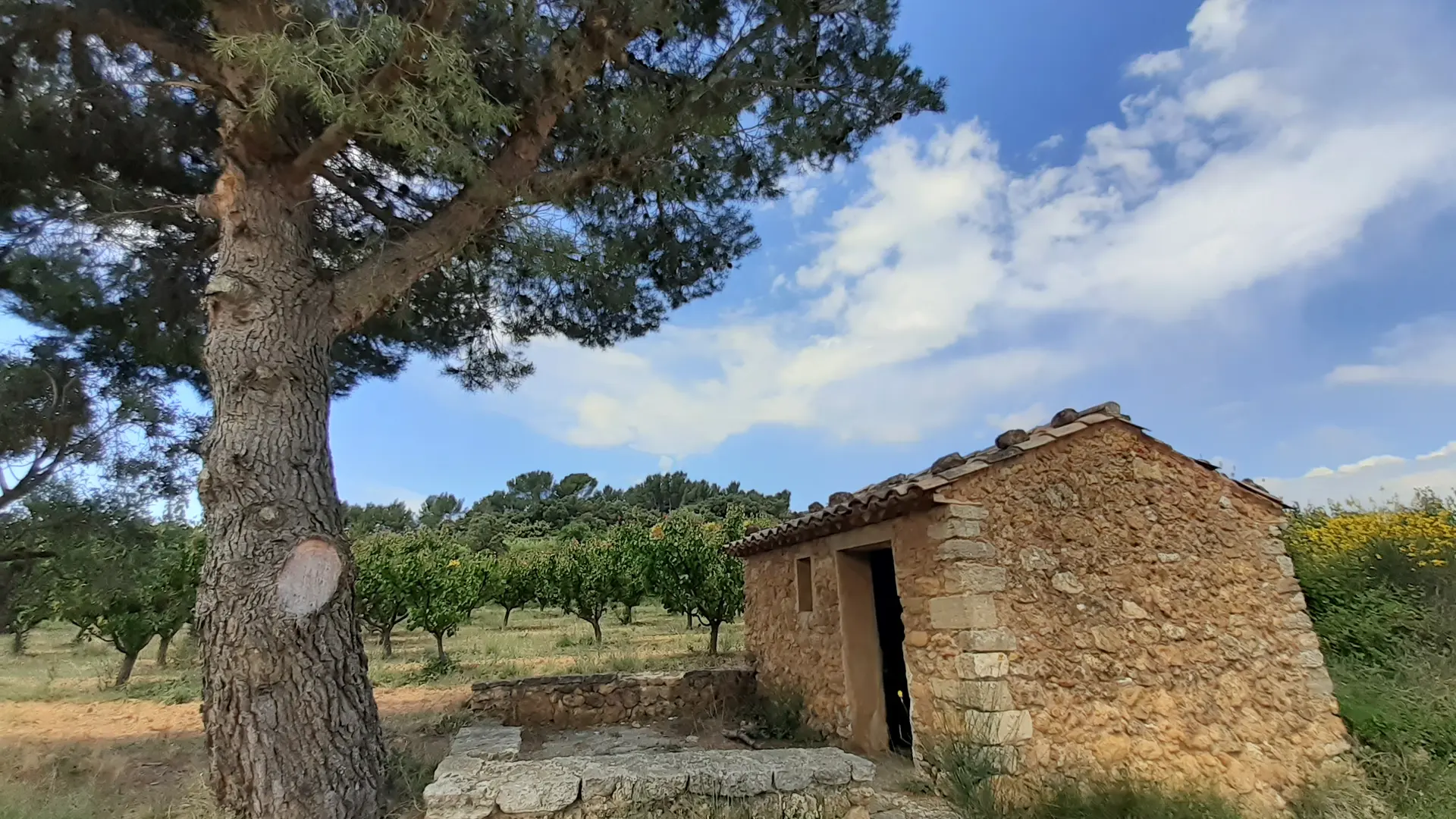 Balade à vélo vers Caromb