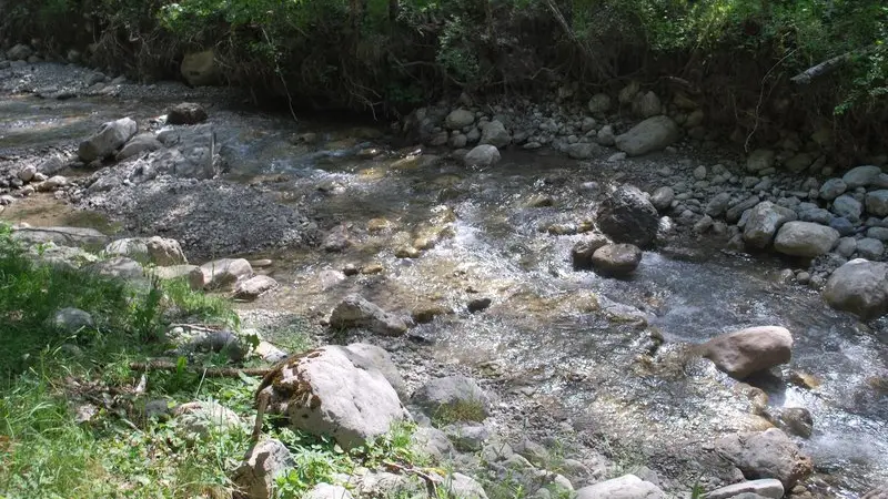 La source de la Bastié