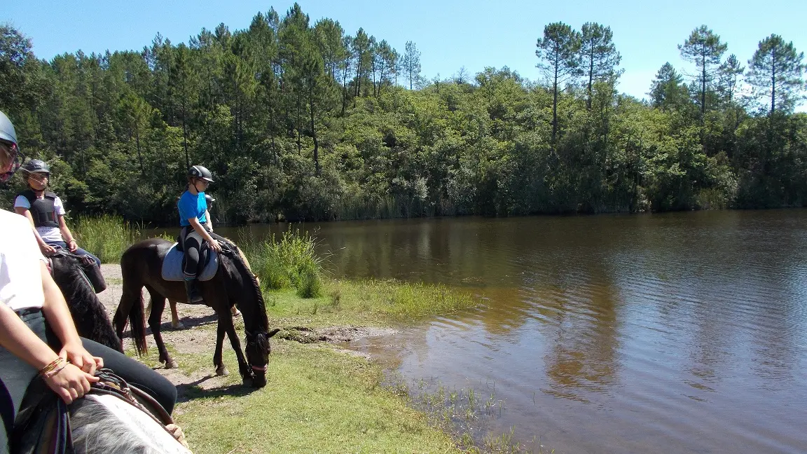 Journée détente à cheval/poney