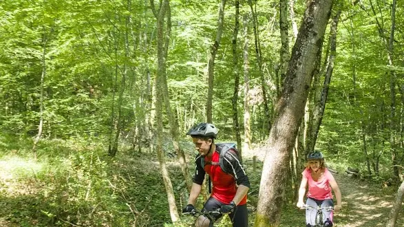 Cyclistes en forêt