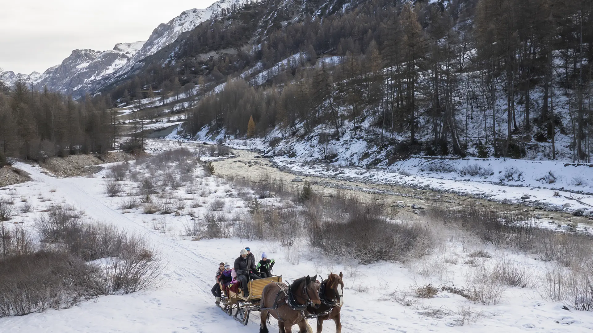 Provence Equiservices - Traîneau équin