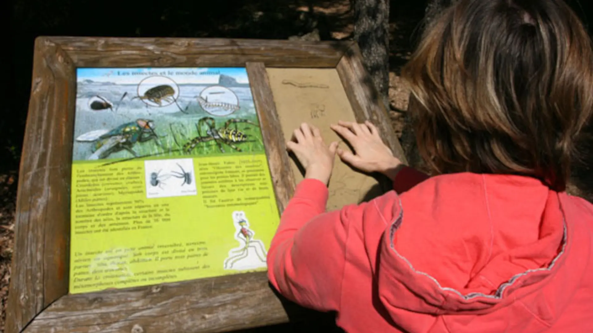 Panneau faune flore étang de Fontmerle Mougins