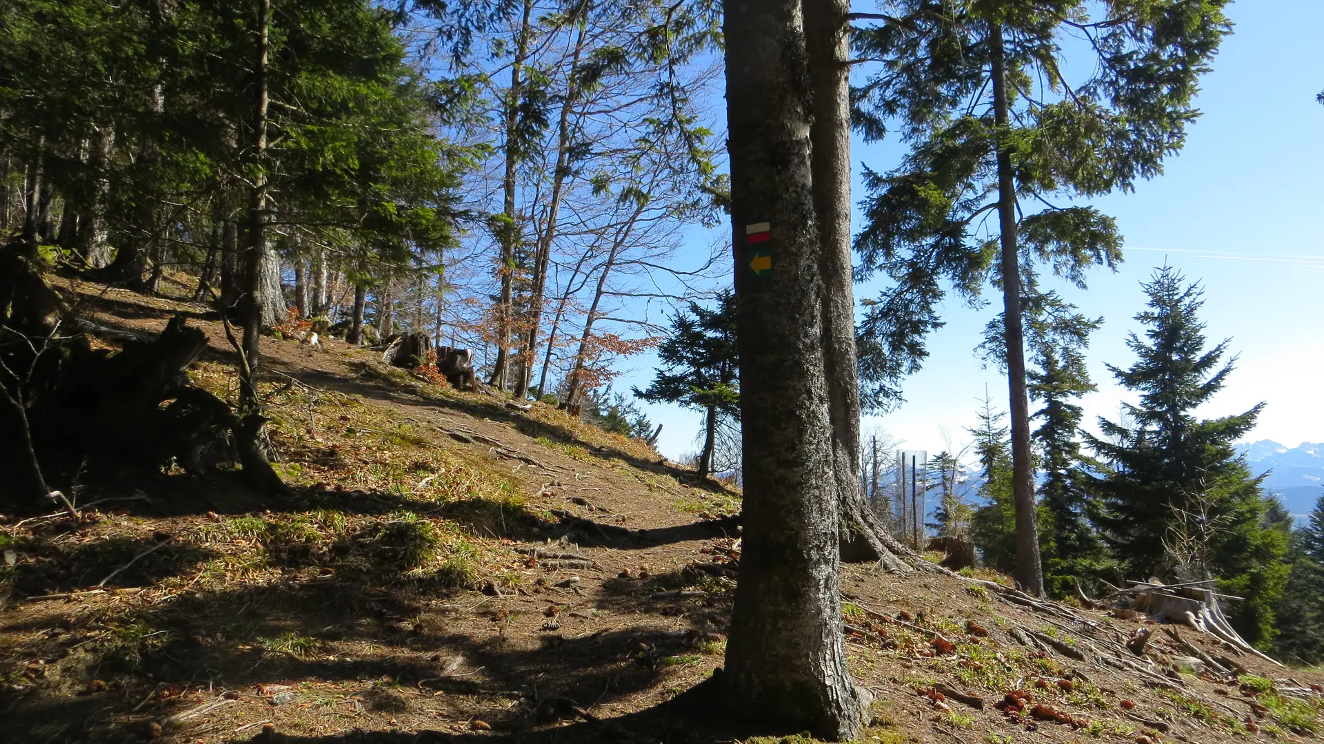 Sentier de la Cave aux Fées