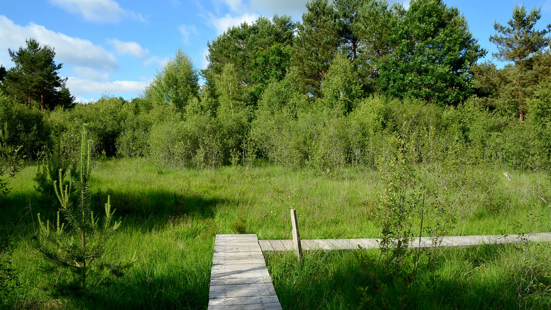 Le marais de Cassan