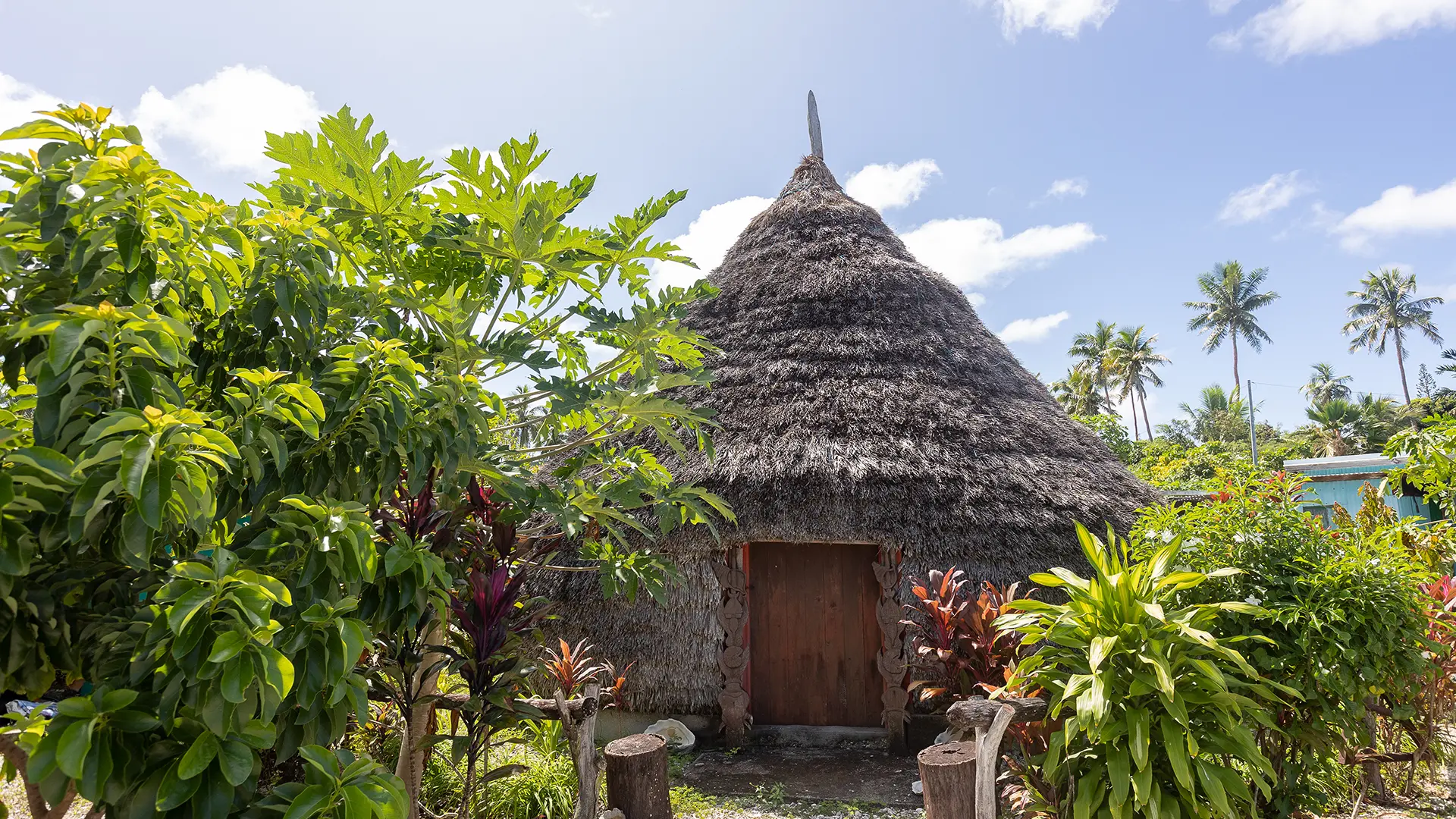 Traditional hut