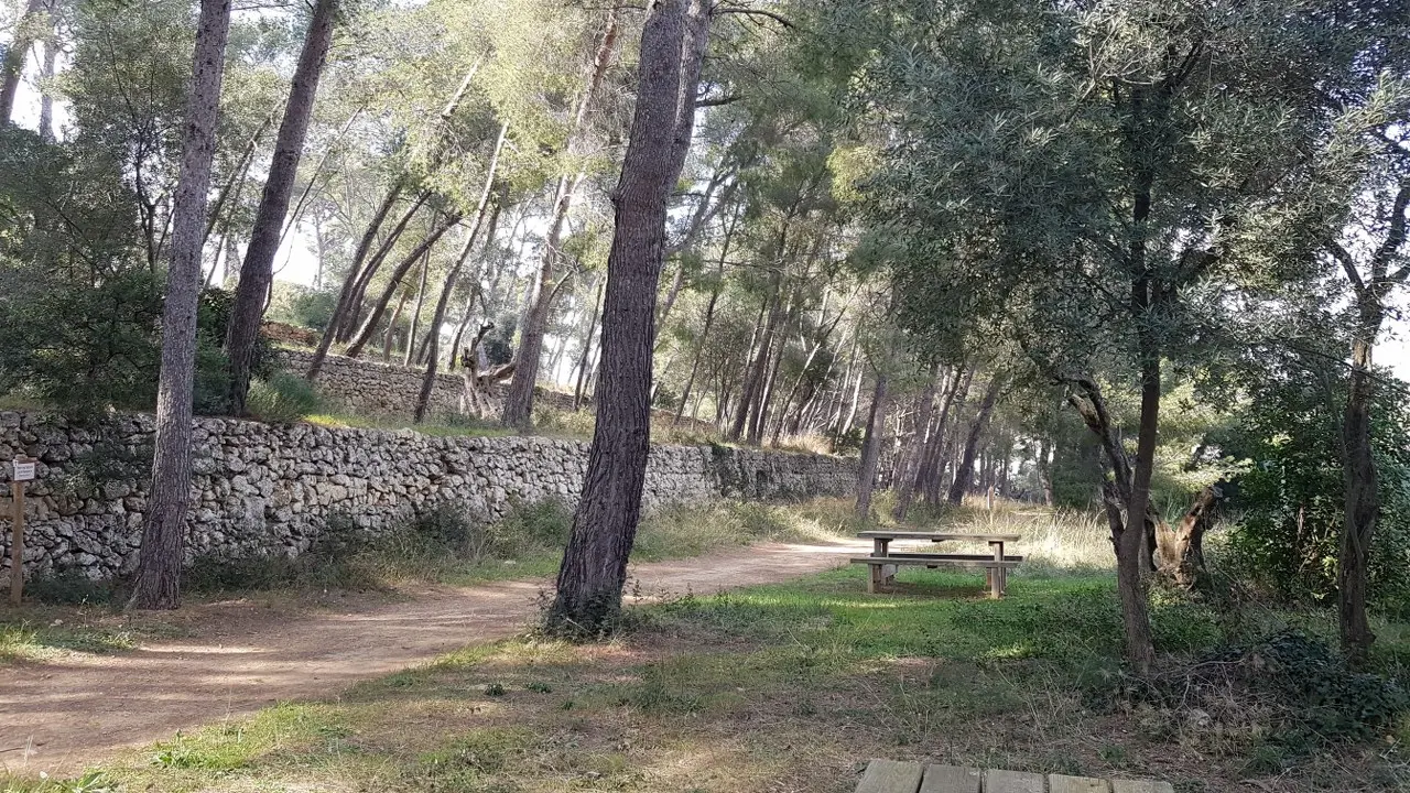 Restanques et table de pique-nique