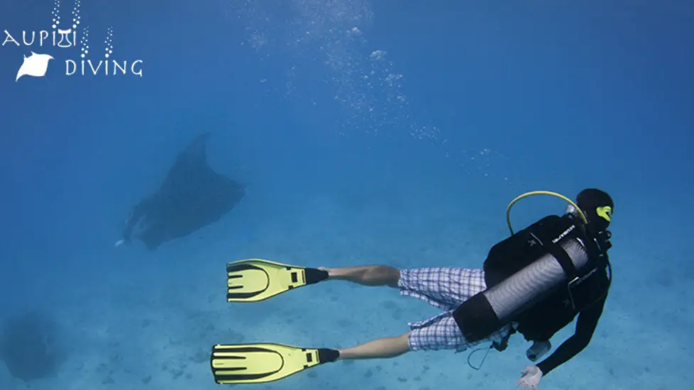 Maupiti Diving