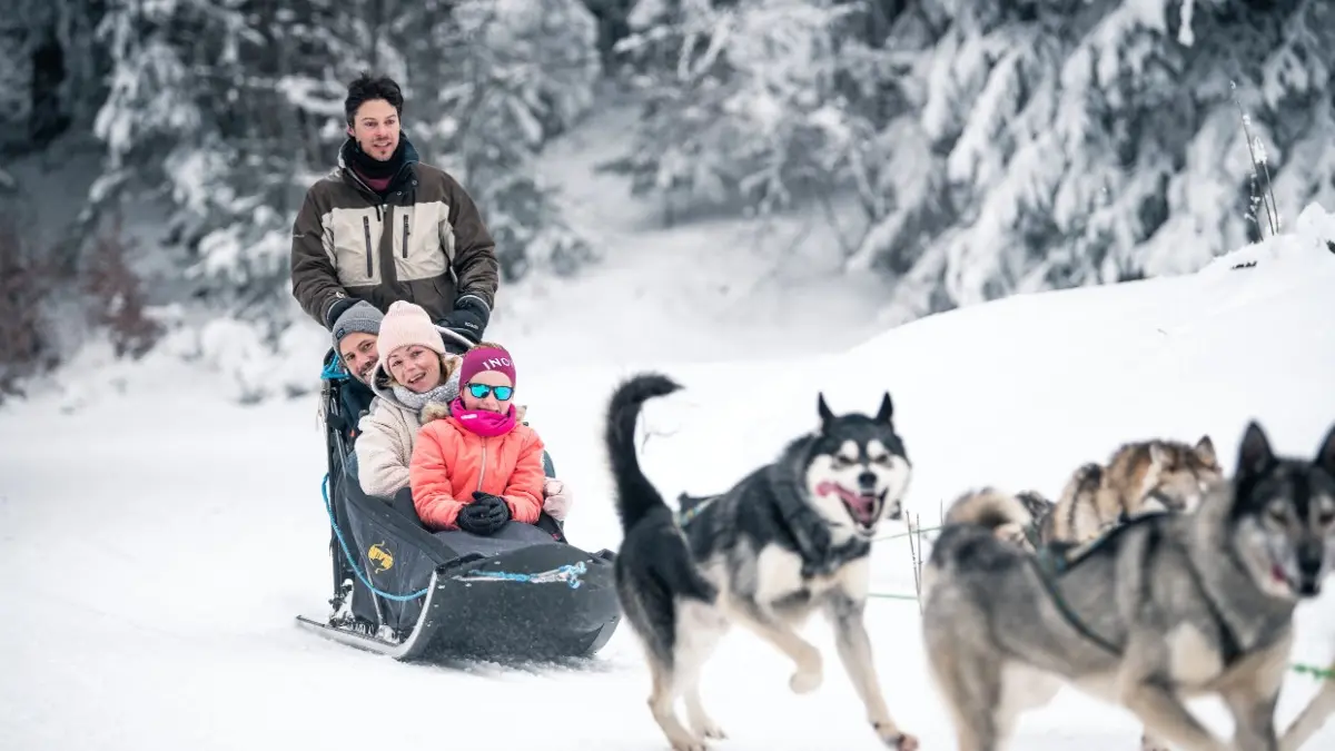 Ski de fond ou chiens de traineau à proximité des gîtes. Credit photo Grand Chambery