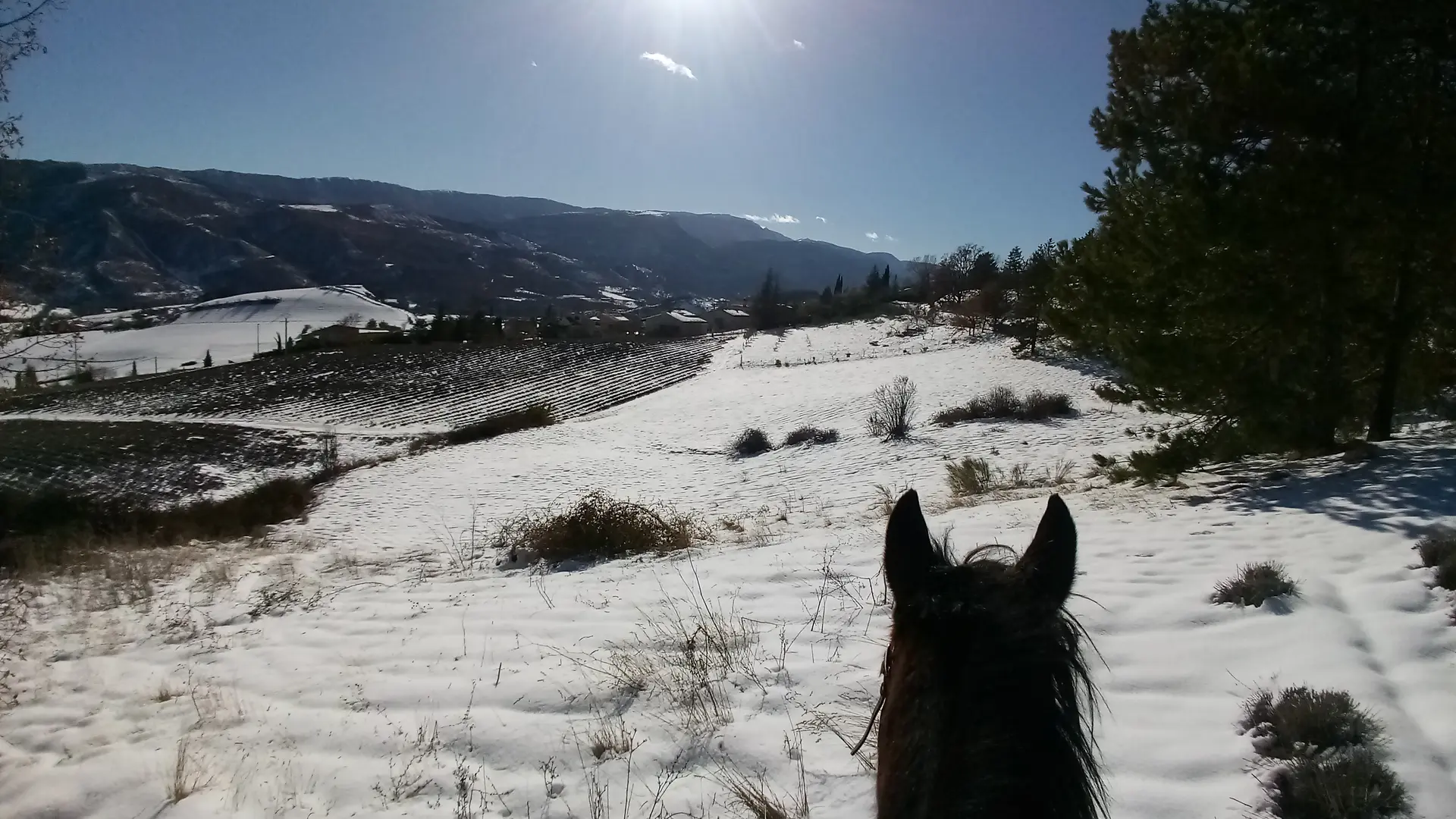 Le Poney Club du Thor à Sisteron