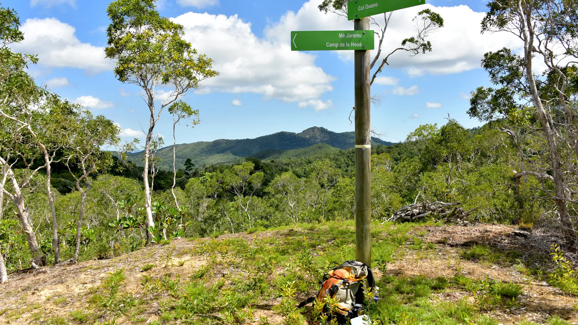 Point 503 m