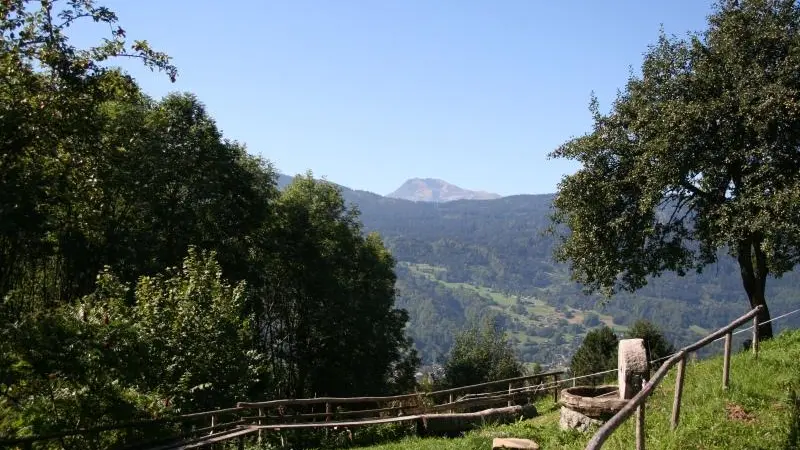 sur depuis la terrasse derrière la maison