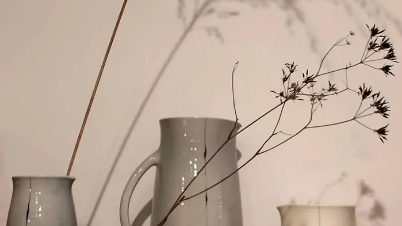 Vaisselle porcelaine