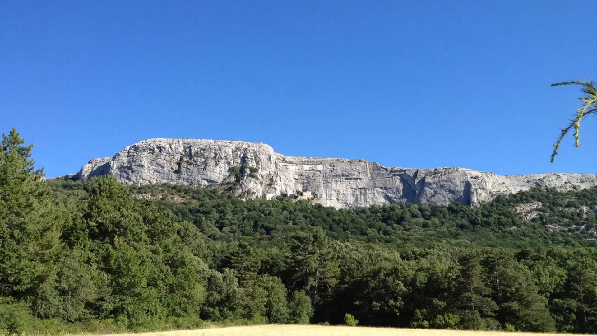 Contraste entre une prairie jaunie par le soleil, la végétation verdoyante et la barre rocheuse de la Ste Baume