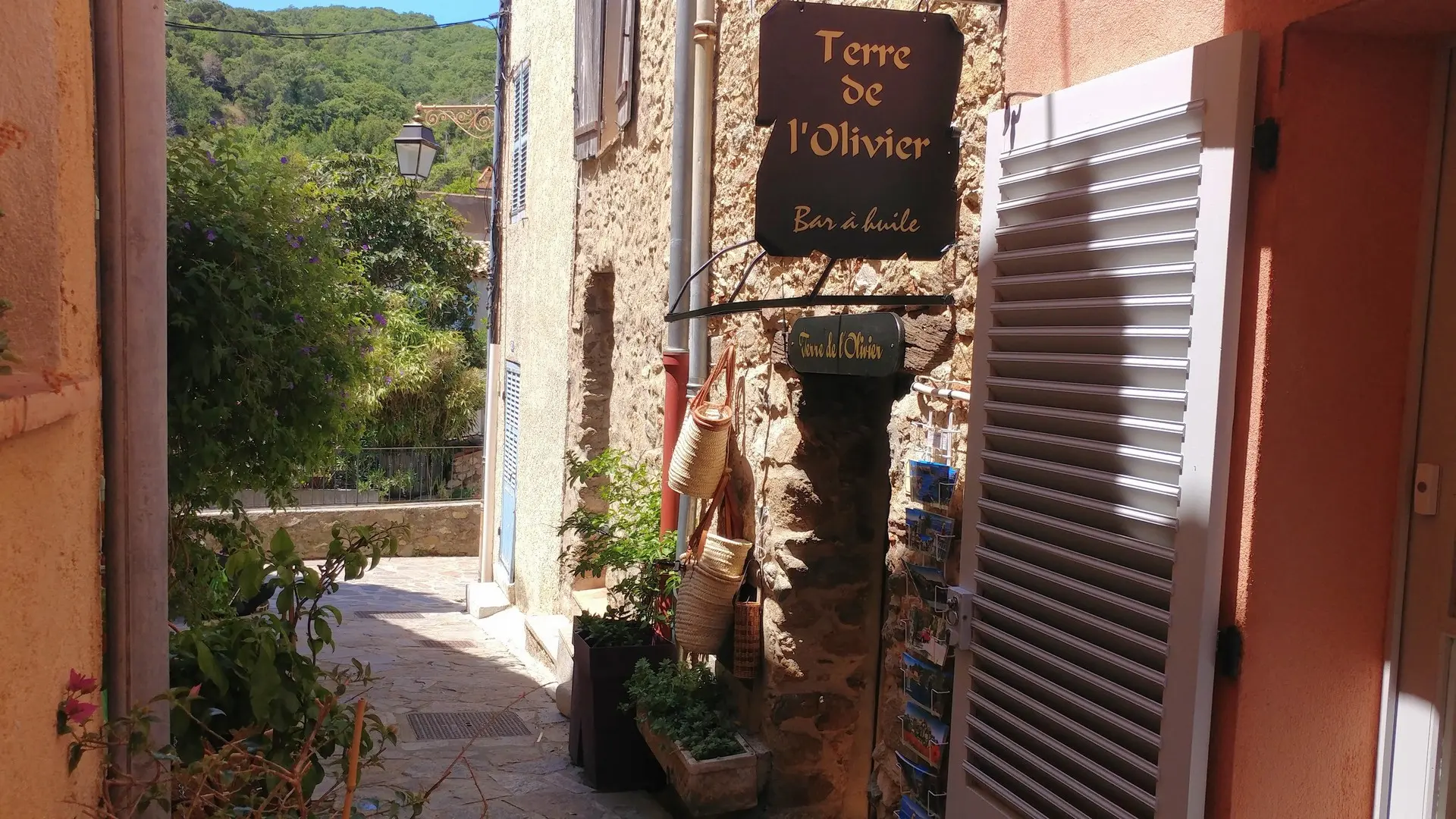 Terre de l'Olivier