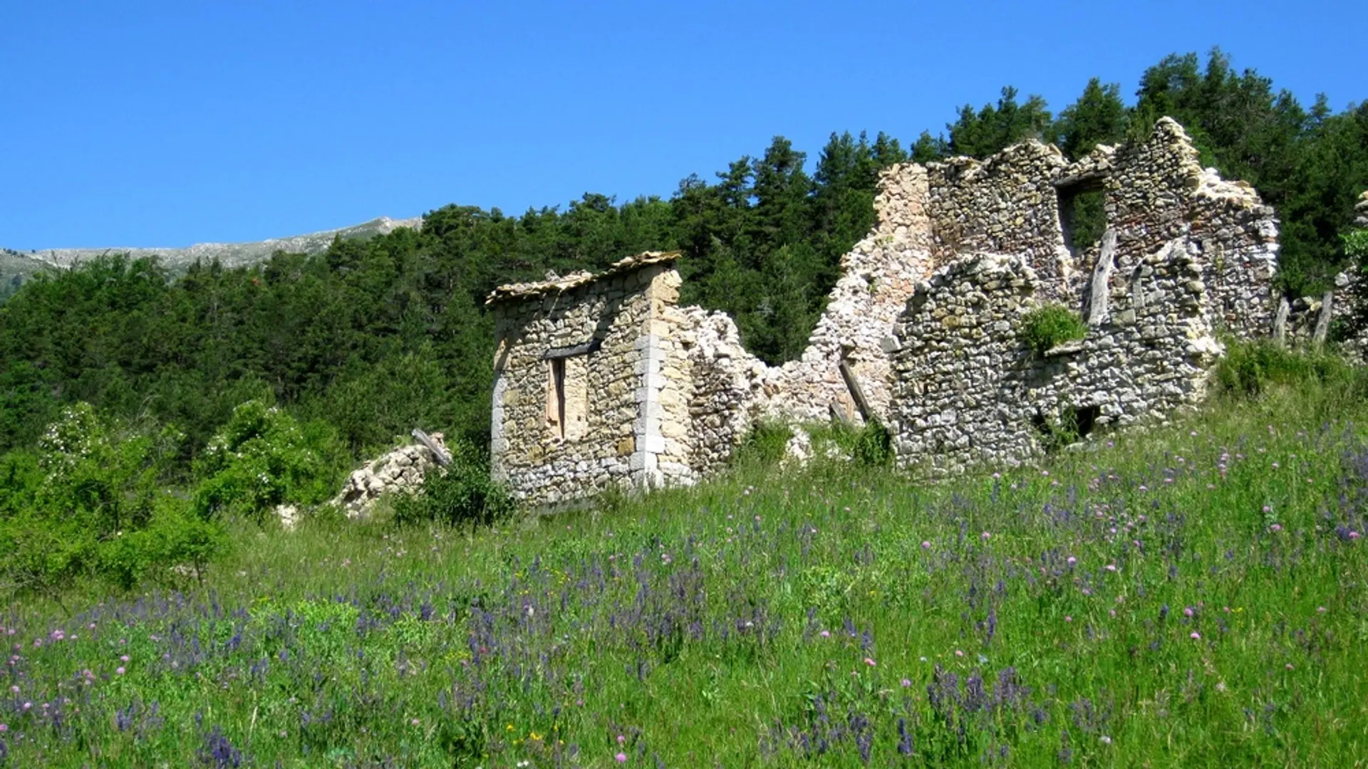 Ruines de Veraillon
