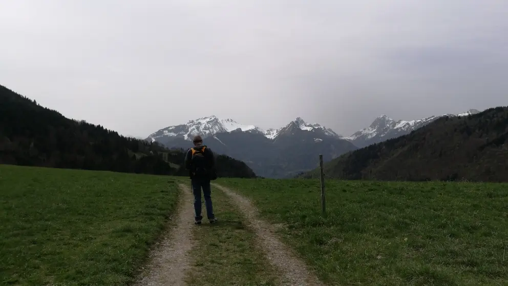 vue sur les Bauges