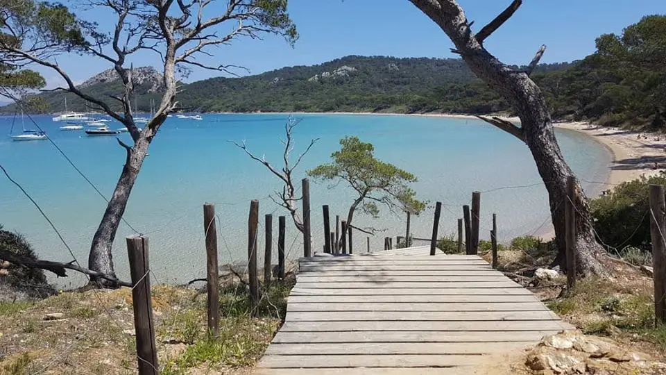 Excursion à Porquerolles avec l'Atlantide