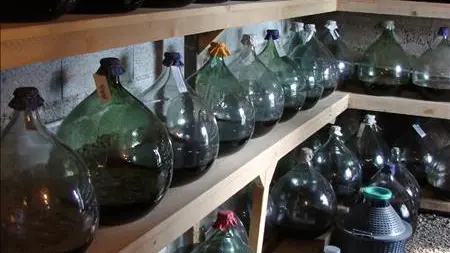 Le Clos Saint Antoine