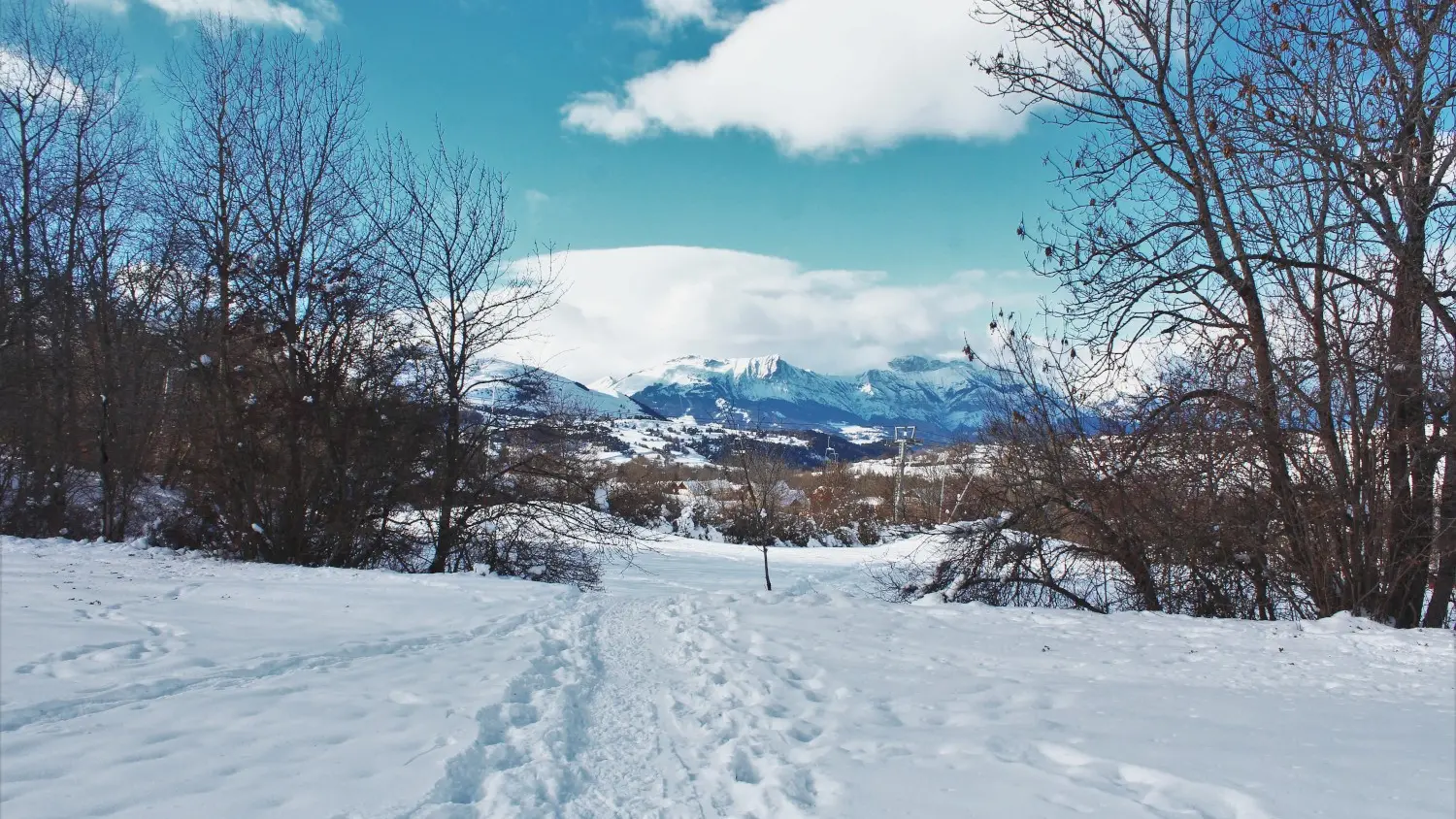 Raquettes Bois noir Ancelle