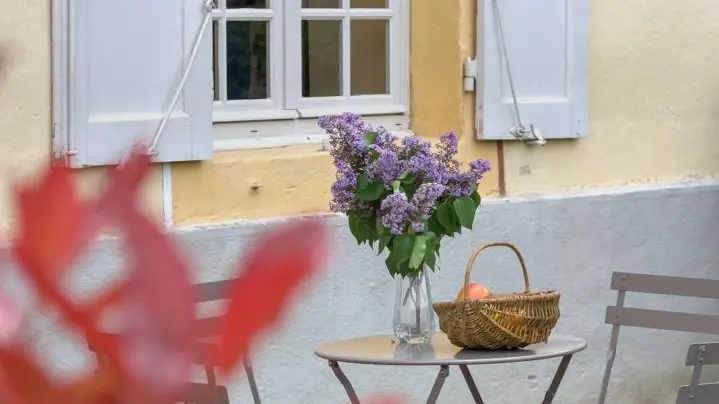 jardin détail