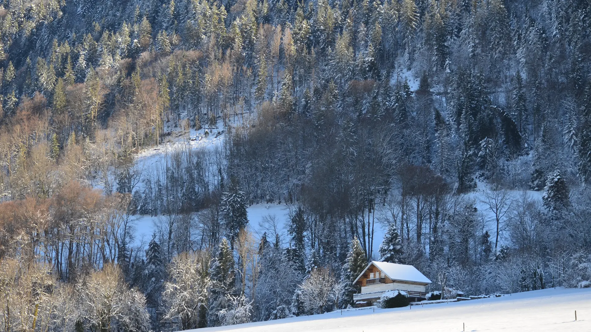 Balade d'hiver en Val de Tamié_Faverges-Seythenex
