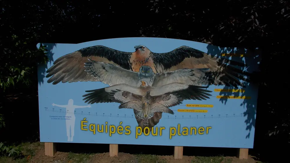 signaletique pedagogique - Parc des oiseaux