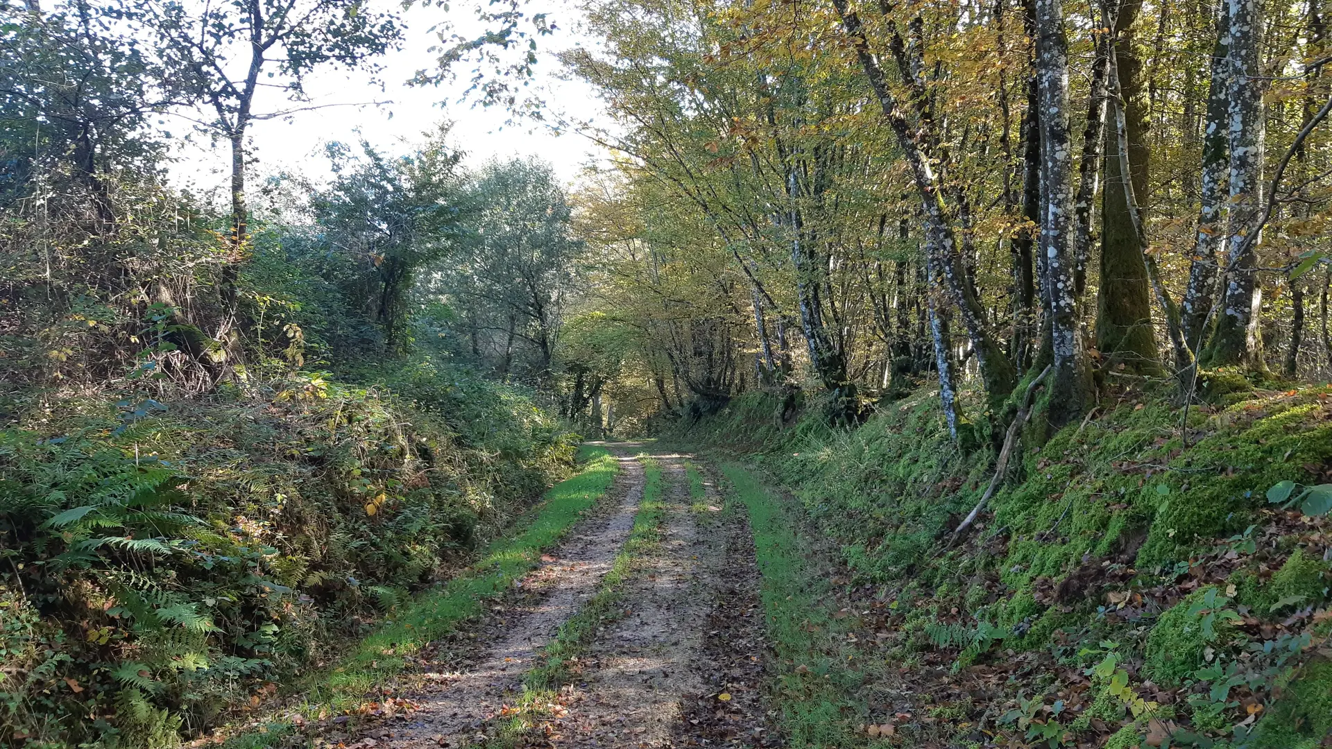 Circuit VTC-VTT n°4 (rouge) - La Voie Royale