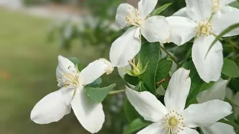 Pour le plaisir de tous