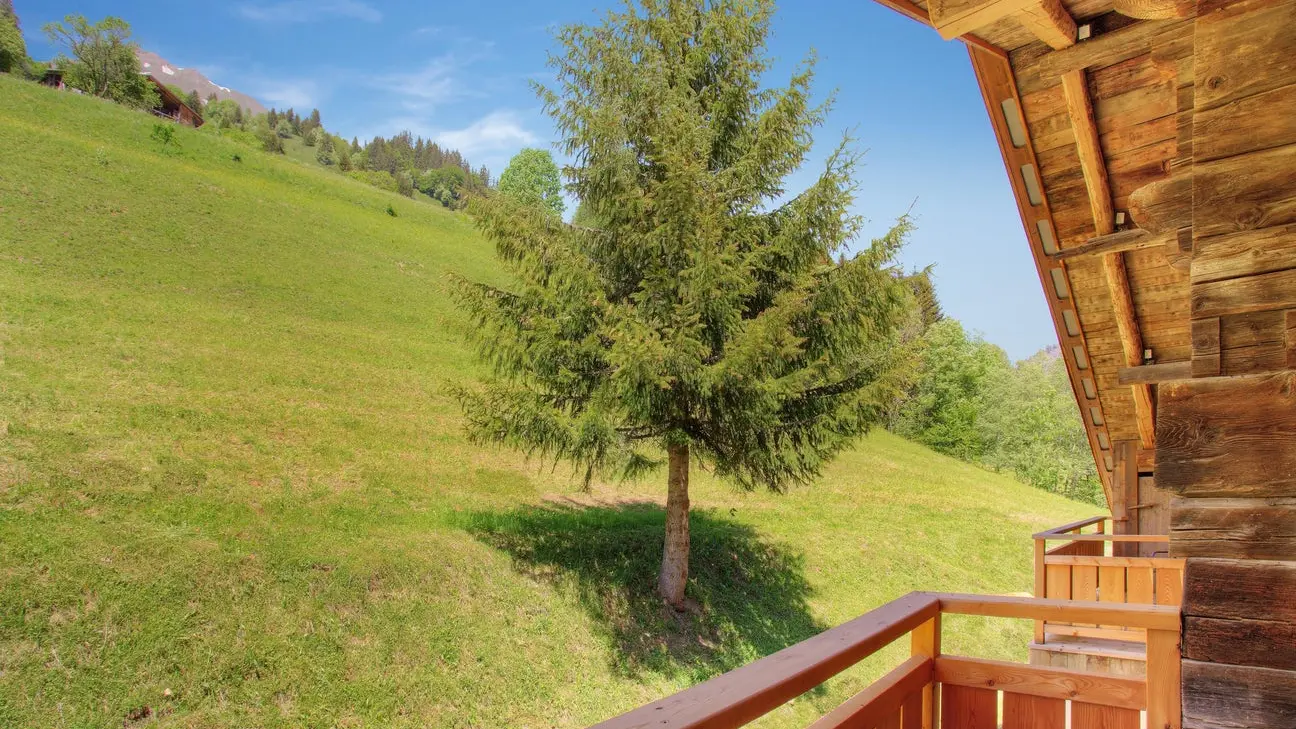 Balcon vue été