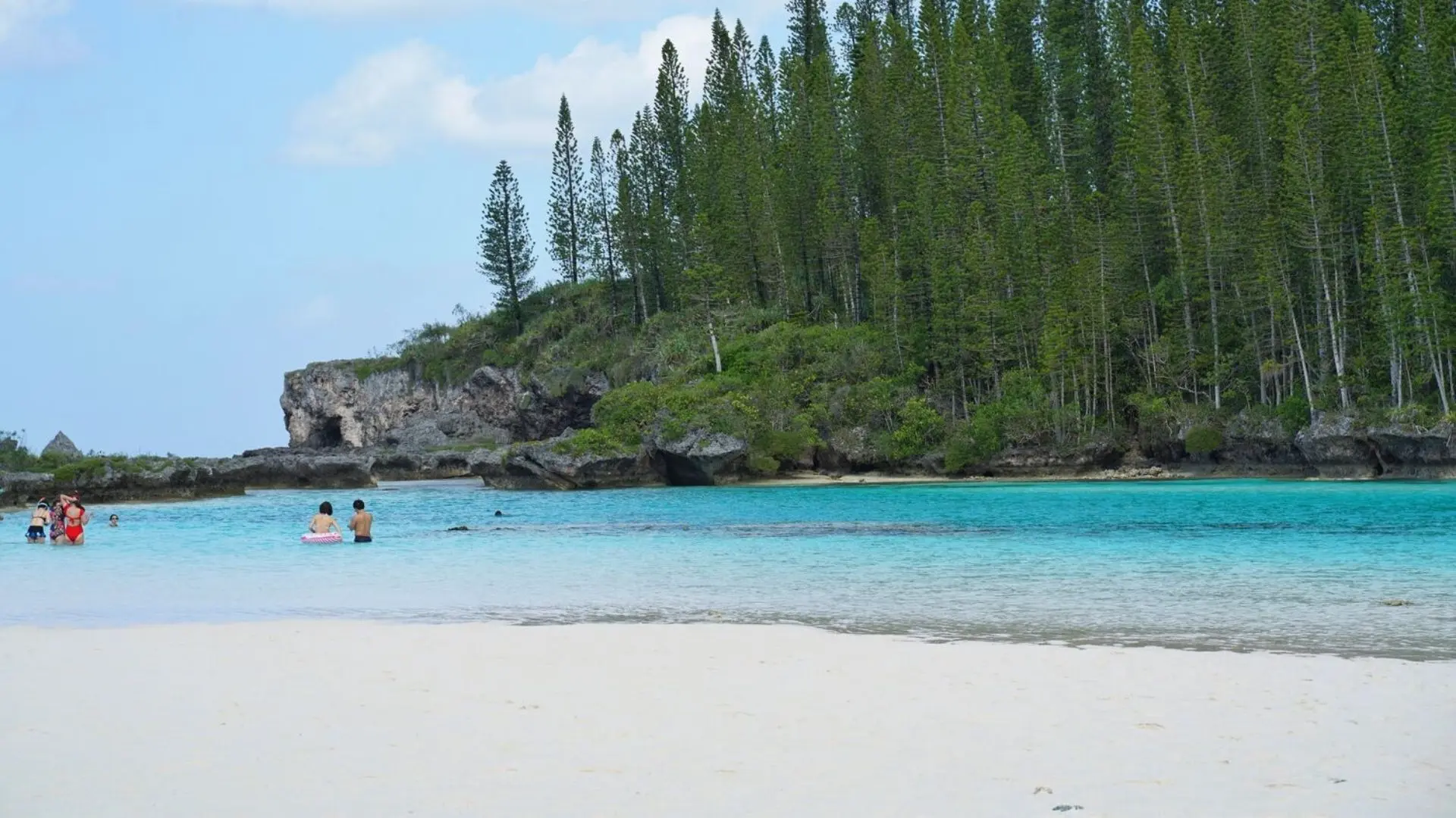 Piscine naturelle