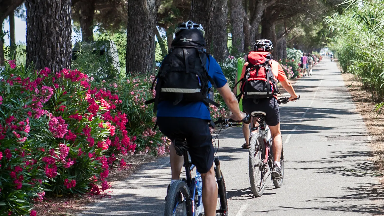 piste cyclable - V65 - Fréjus