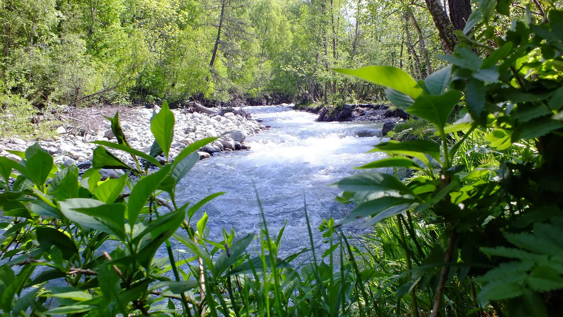 Rafting sur la Romanche - La Grave