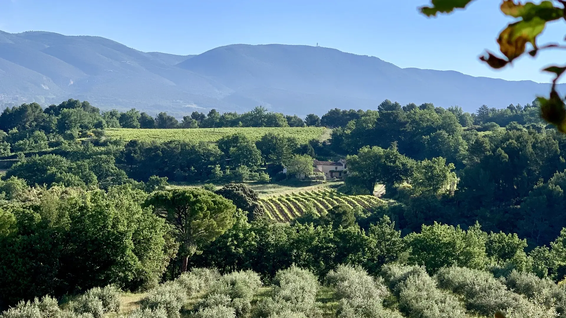 Bastide du Laval Luberon