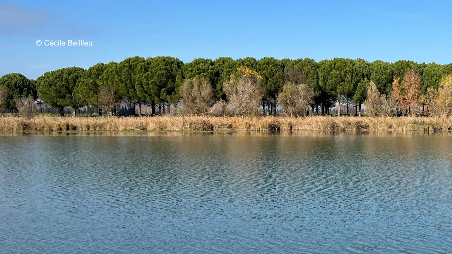 Barrettsee_Saint-Rémy-de-Provence