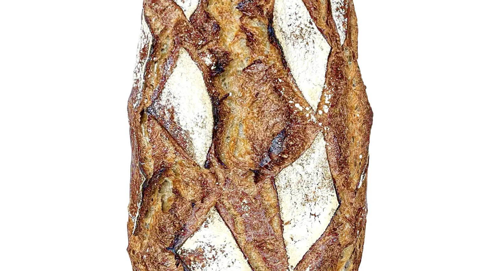 Brote aus alten Weizensorten, 2 kg – Loga