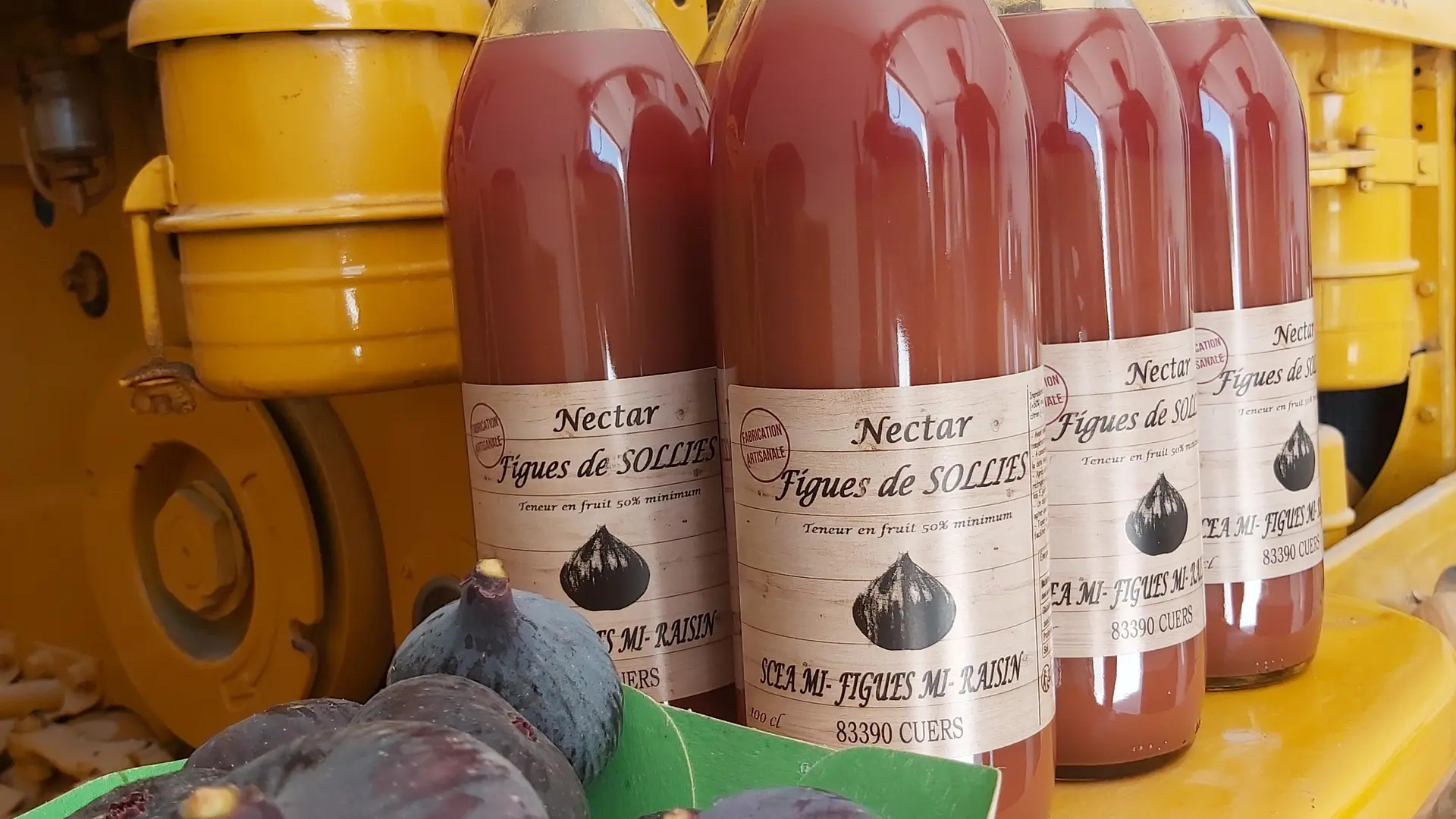 Hélène SALTETTO_Solliès-Pont