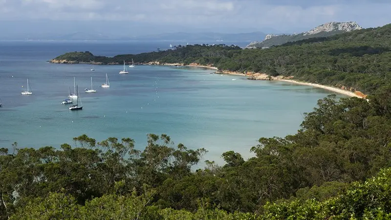 Sortie Porquerolles et dauphins